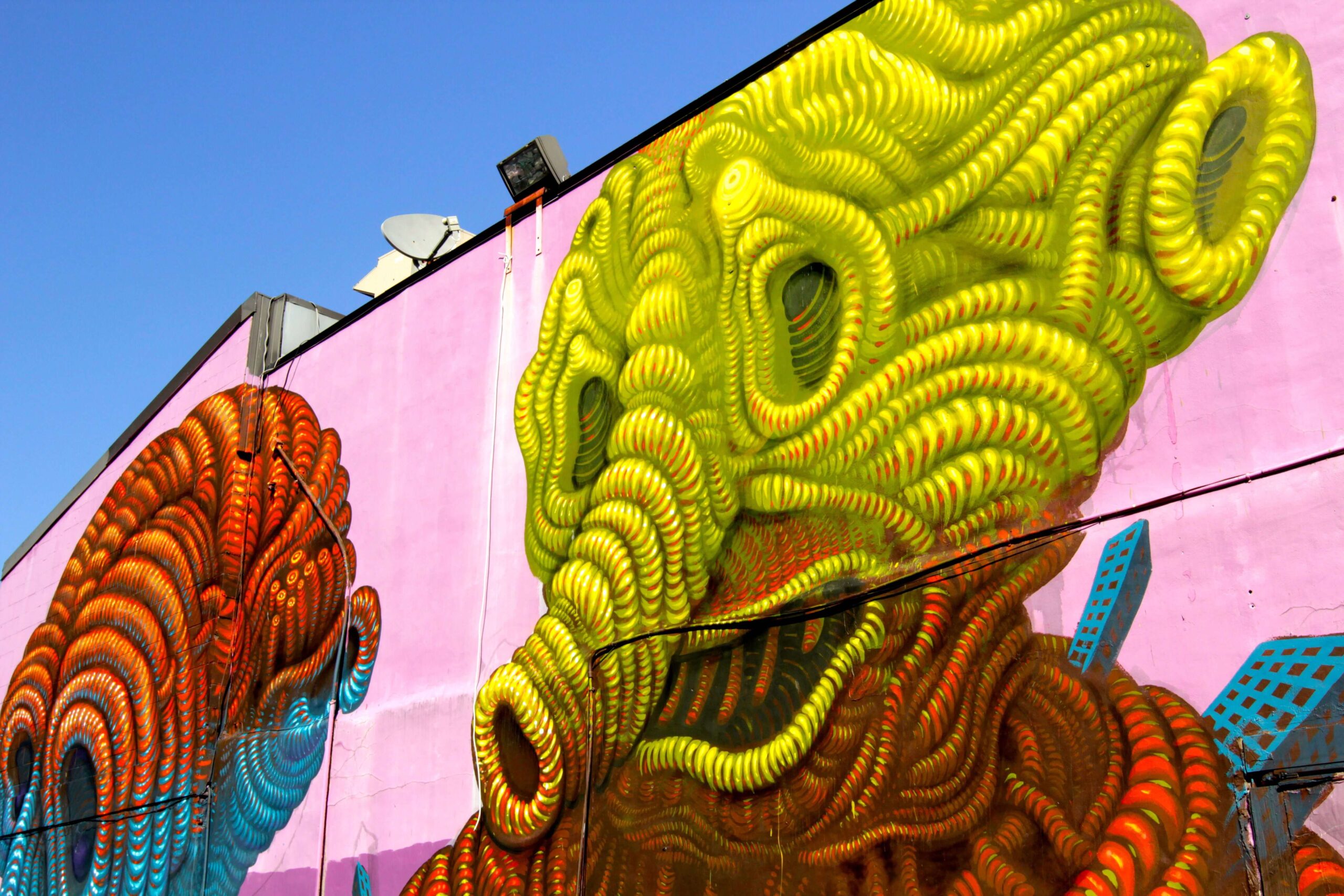 mural2013_botkin_01__photo_par_daniel_esteban-1.jpg