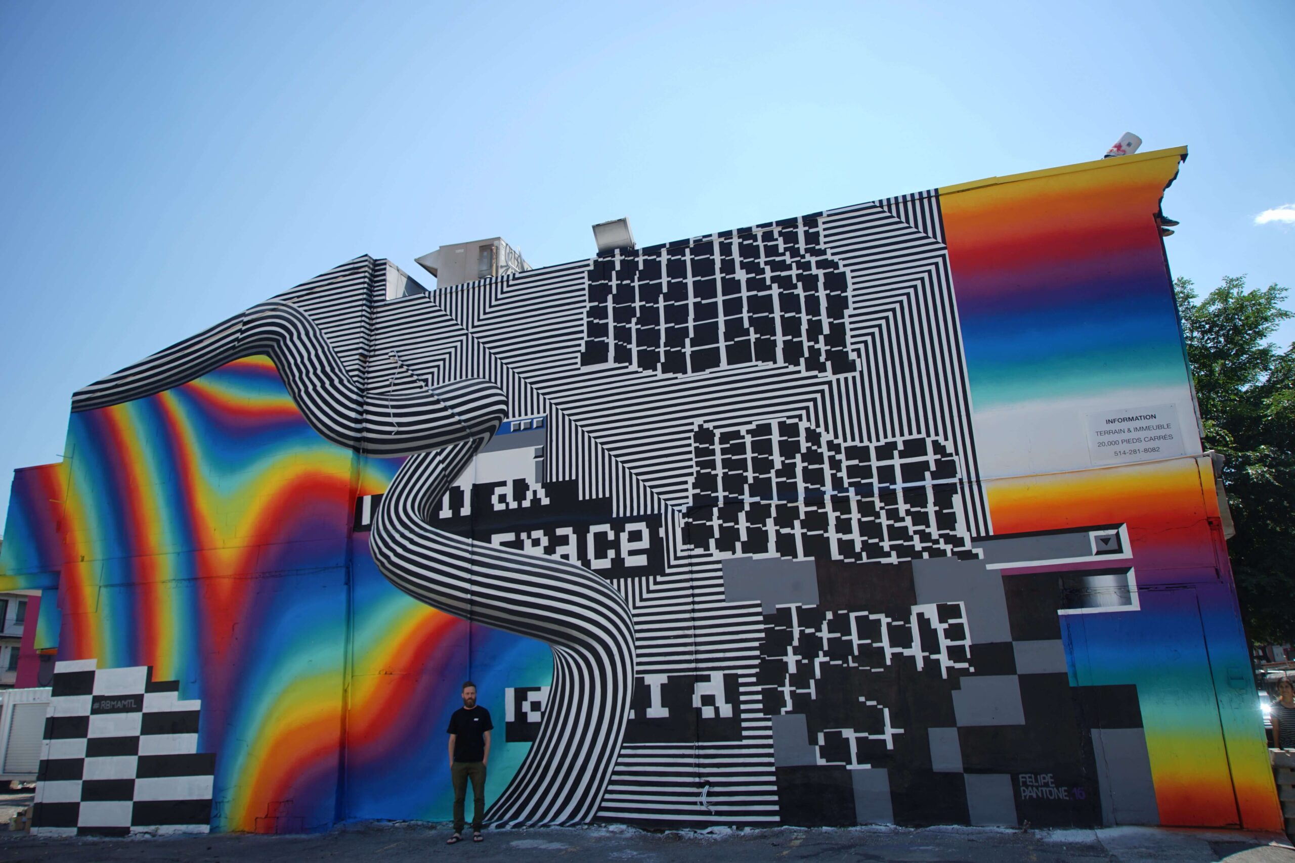 mural2016_felipe_pantonehalopigg09480-1.jpg