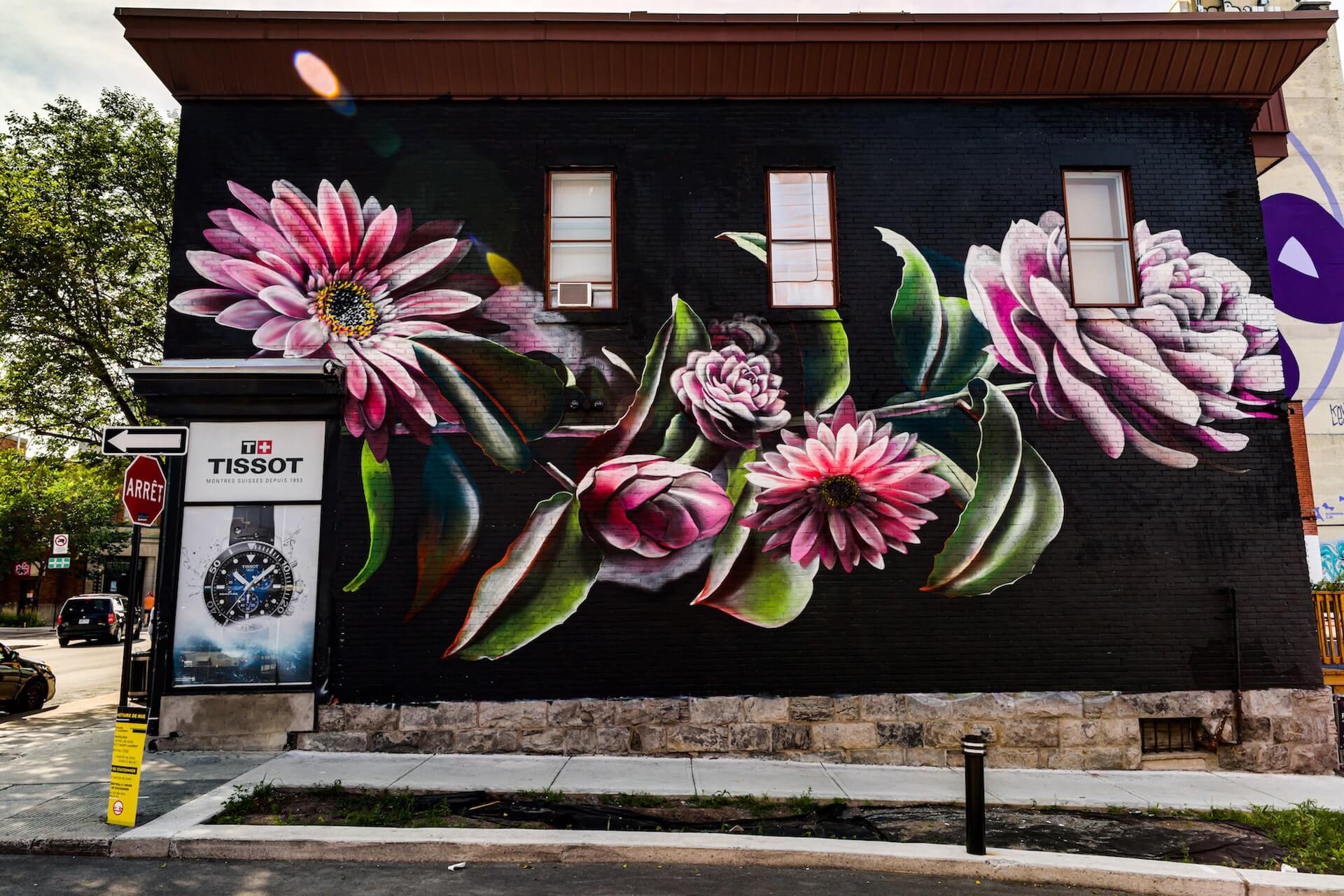 murale_instinct-04-07-2020-jfgalipeau-1.jpg