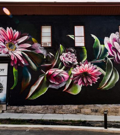 murale_instinct-04-07-2020-jfgalipeau.jpg